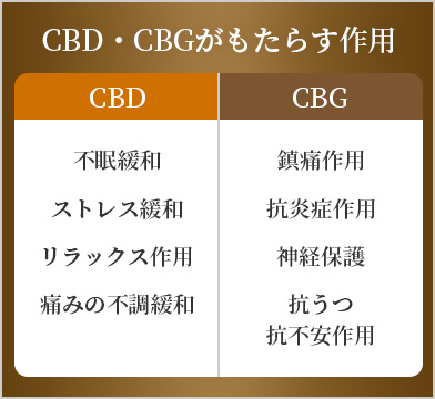 CBD・CBGがもたらす作用